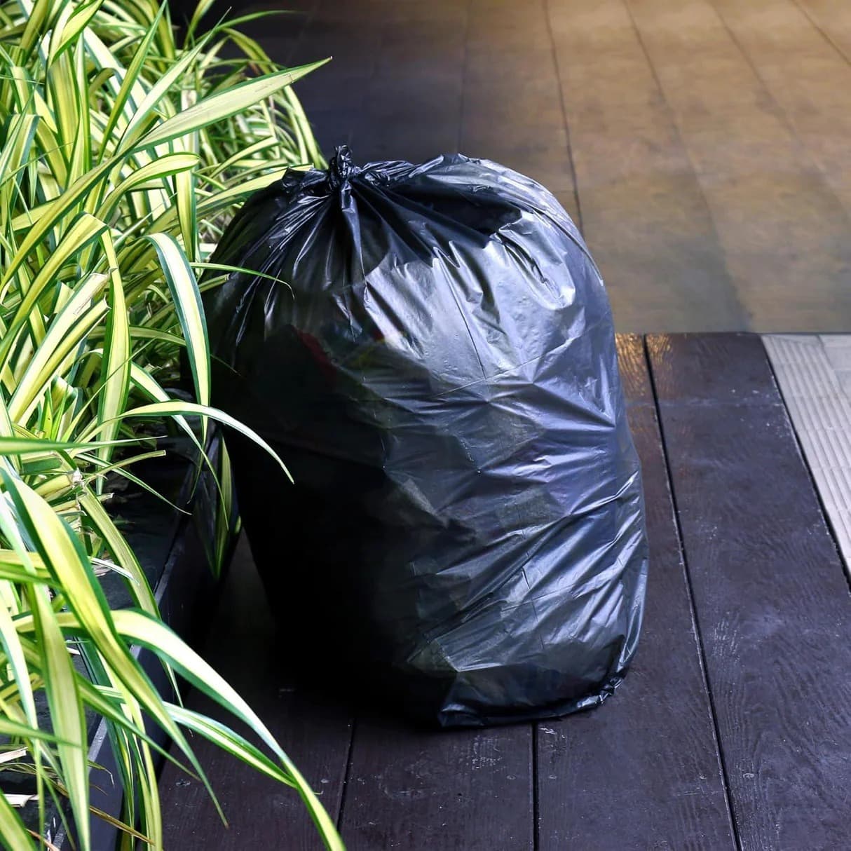 Professional waste collection service in East London and Mthatha